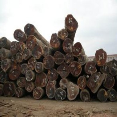 柳桉木防腐木企業文化交流活動在莆田豐獅木材加工廠成功舉辦